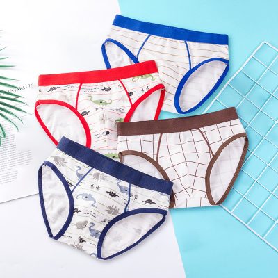Canton hint kids underwear for boys (4)