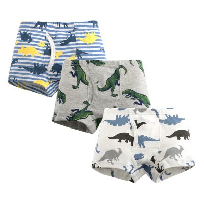 Wholesale cartoon dinosaur boxers kids boys underwear (3)